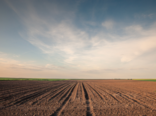 Ackerland - Landwirtschaft als Mittel gegen den Klimawandel